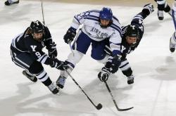 开云平台-跨界巅峰的唯一对决，黄蜂胜辽宁，马克西防守锁死对手