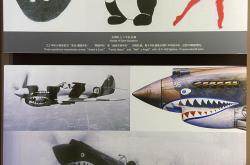 开云官方app入口-关于云南飞虎战胜对手，全队士气爆发达到巅峰的信息