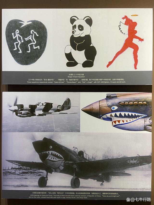 关于云南飞虎战胜对手，全队士气爆发达到巅峰的信息