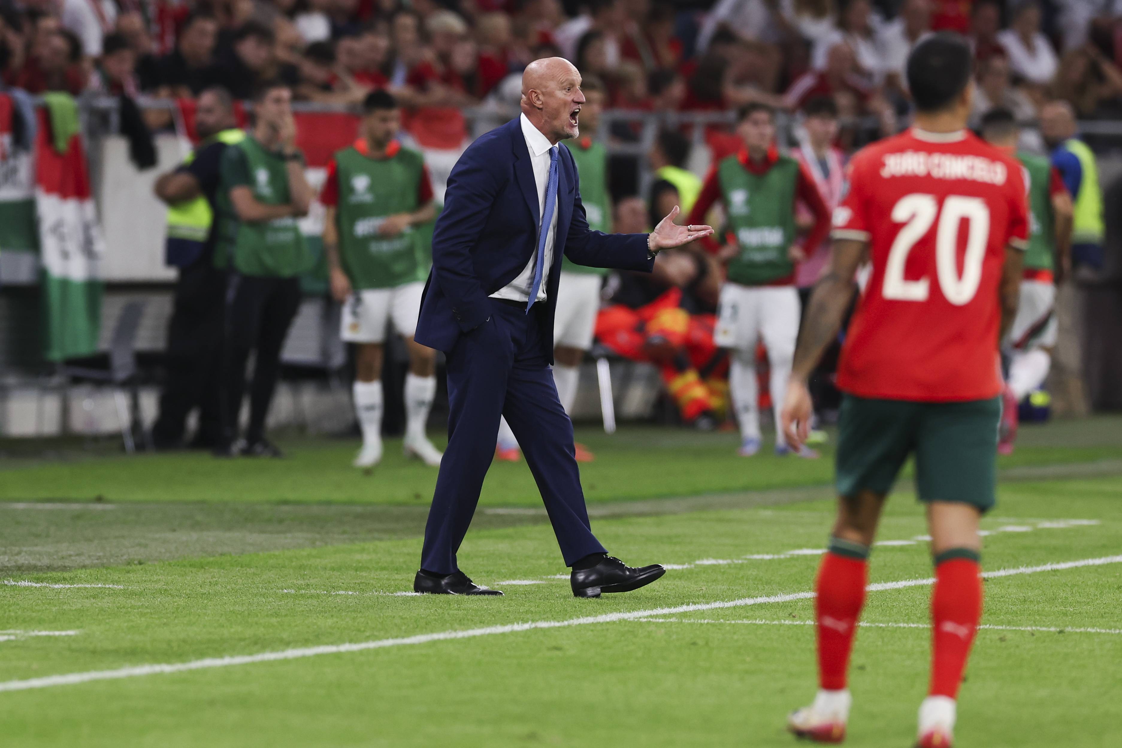 欧洲杯：匈牙利队奋力抵抗，被葡萄牙队逆转