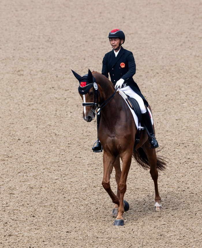 阿联酋马术选手表现出色取得头名