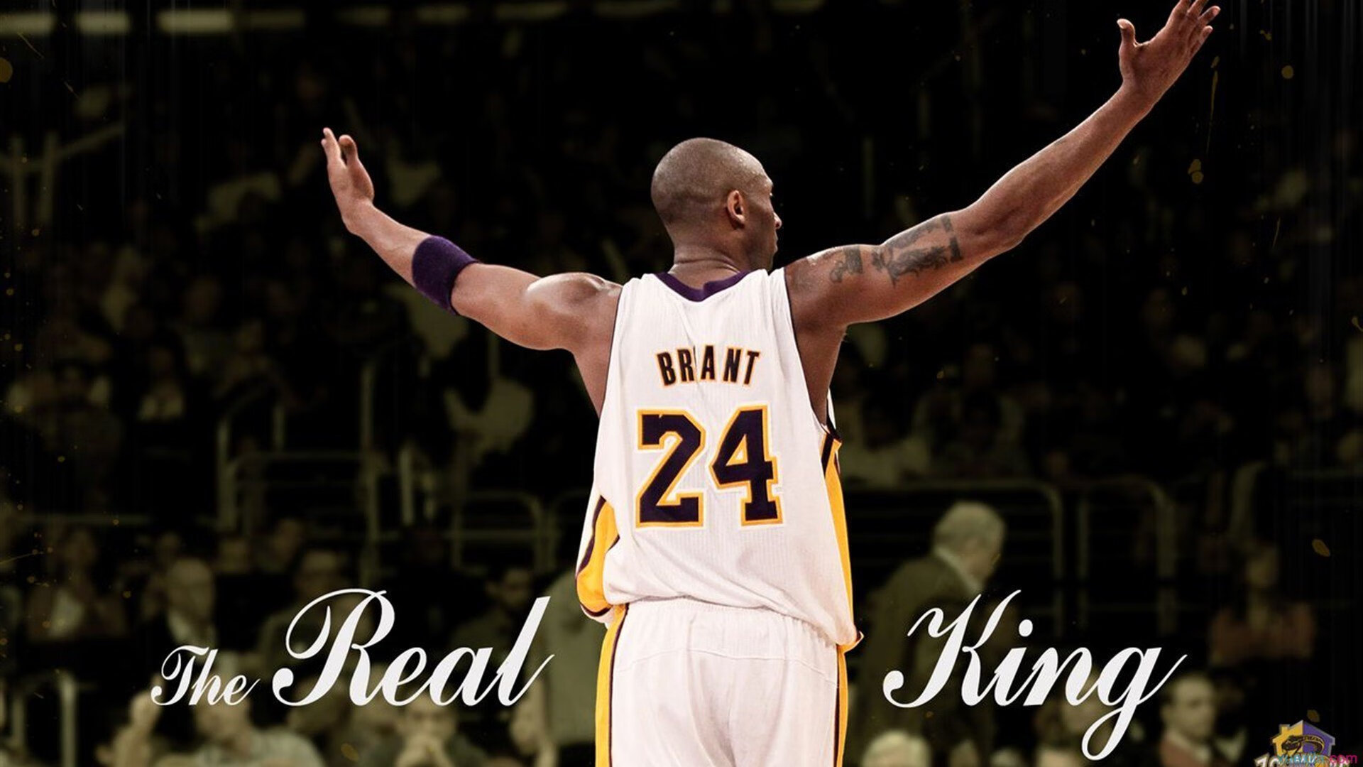 时间的暴君，霍勒迪如何用24秒编织一场华丽的绞杀